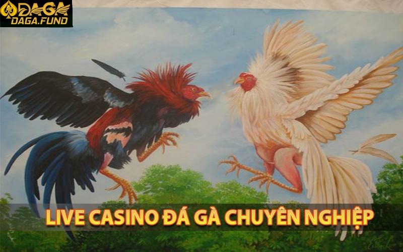Chơi casino online thuận tiện tại nhà