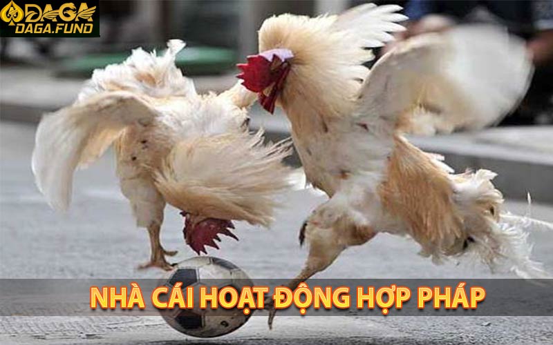Chúng tôi hoạt động casino onlien là hợp pháp