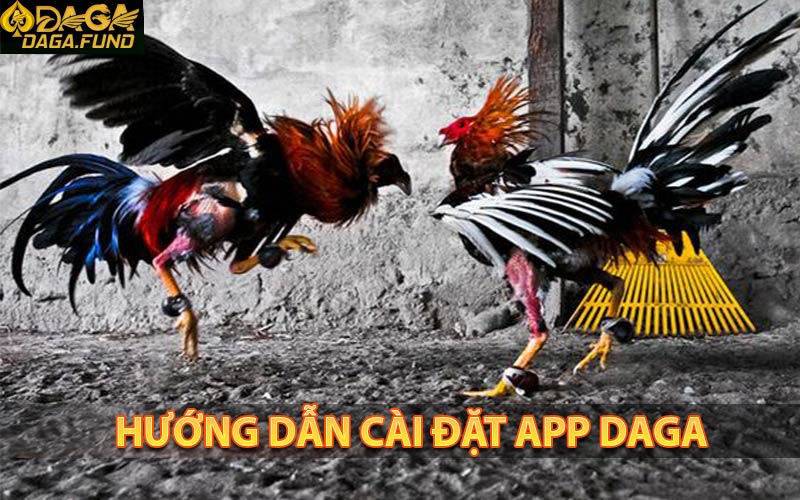 Hướng dẫn cài đặt app daga