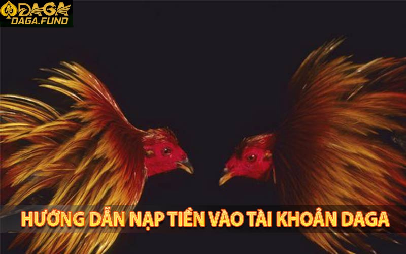 Hướng dẫn nạp tiền vào tài khoản daga