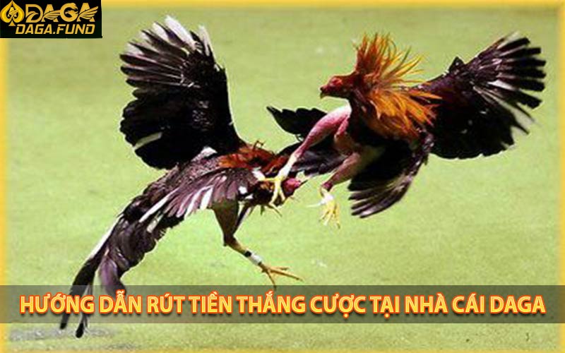 Hướng dẫn rút tiền thắng cược tại nhà cái daga