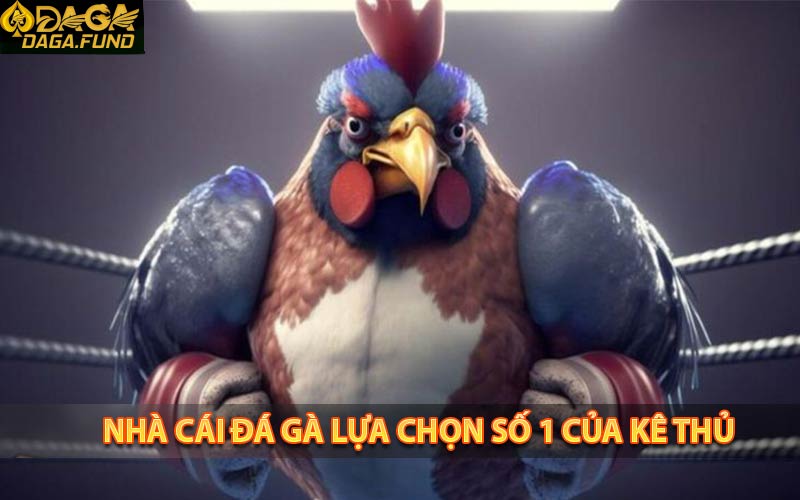 Nhà cái daga địa chỉ quen thuộc của anh em quen thuộc