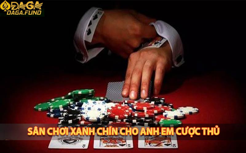 Sân chơi cá cược uy tín cho anh em bet thủ