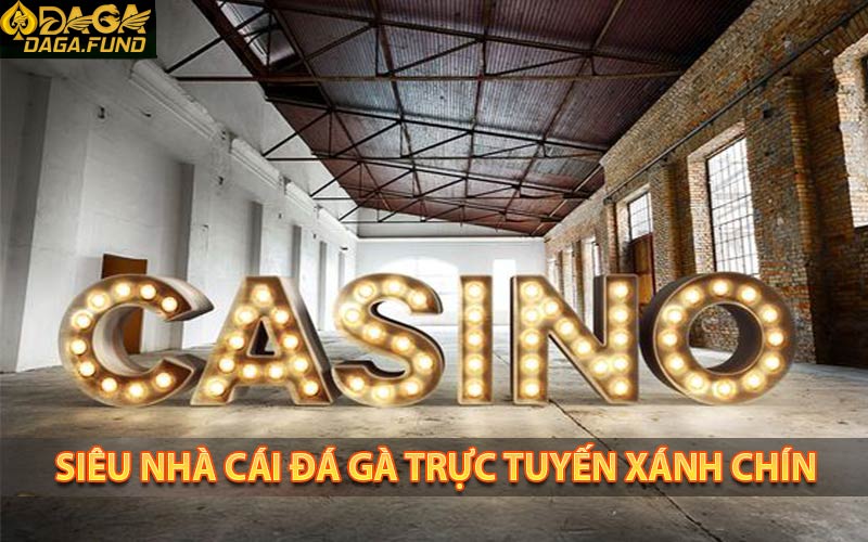 Thông tin về siêu nhà cái daga trực tuyến uy tin