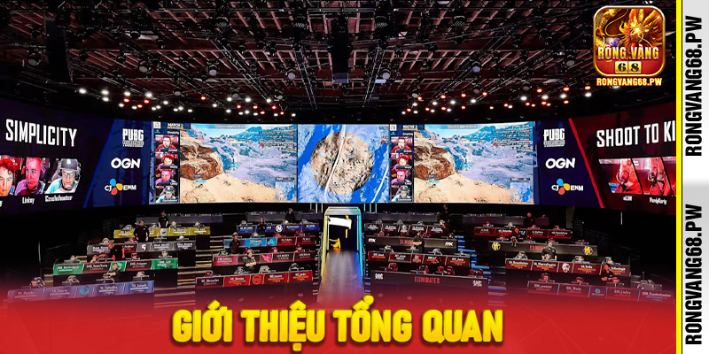 Giới thiệu tổng quan về cá cược PUBG Mobile tại RongVang68
