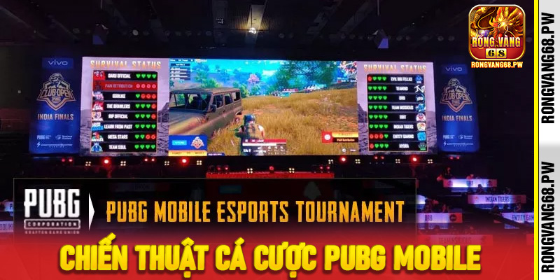 Chiến thuật cá cược PUBG Mobile tại RongVang68