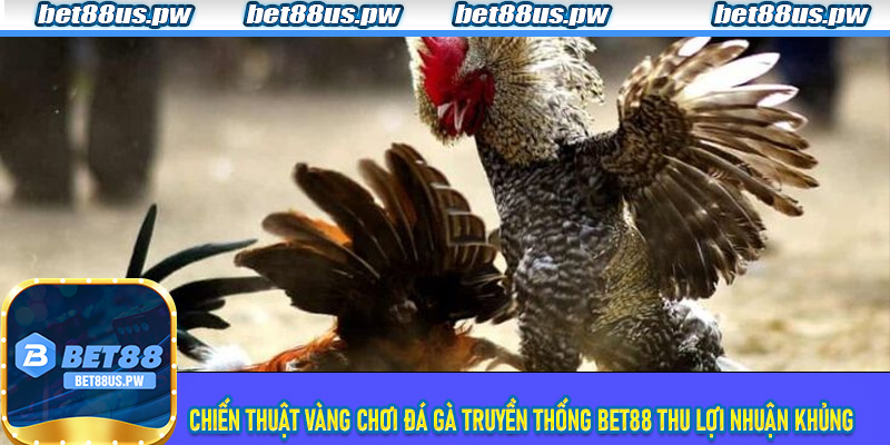 Chia sẻ chiến thuật vàng chơi Đá Gà Truyền Thống Bet88 thu lợi nhuận khủng