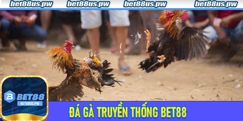 Đá Gà Truyền Thống Bet88