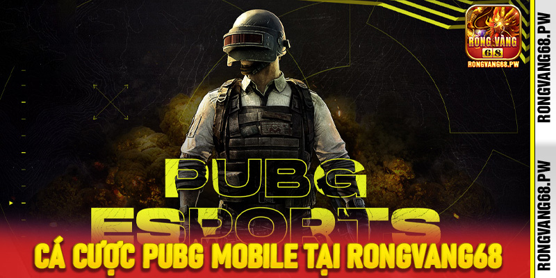 Cá cược PUBG Mobile tại RongVang68 - Trải nghiệm sinh tồn đỉnh cao và cơ hội thắng lớn