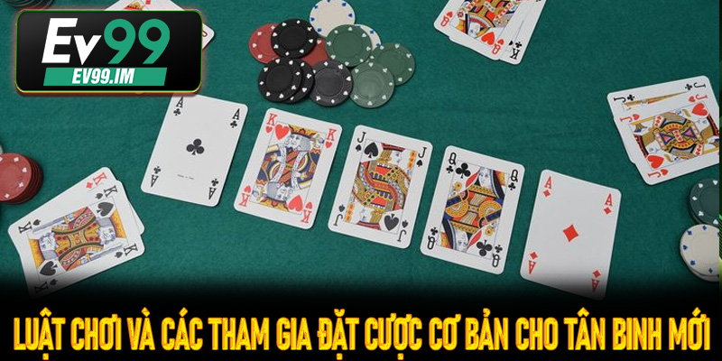 Luật chơi và các tham gia đặt cược cơ bản cho tân binh mới