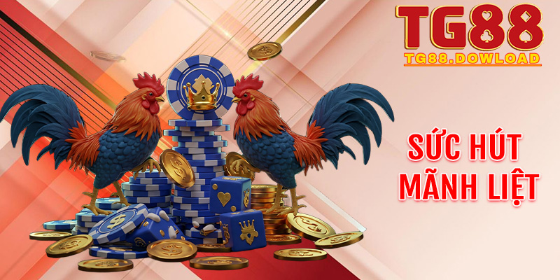 Sức hút mãnh liệt từ những cú nạp "nghìn đô" tại đấu trường Thomo