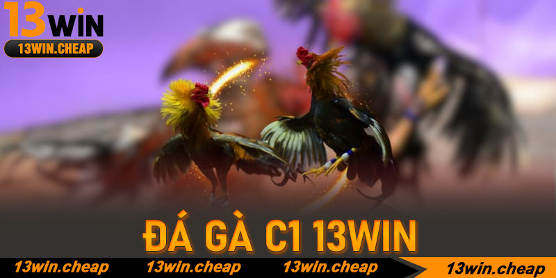 Đá gà C1 và nghệ thuật soi kèo bách chiến bách thắng tại 13win
