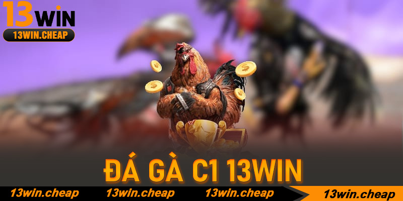 Những dòng chiến kê "độc bản" thống trị sàn đấu Đá gà C1