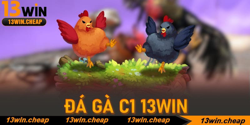 Đá gà C1 13win: Nghệ thuật soi kèo và chiến thuật săn thưởng đỉnh cao