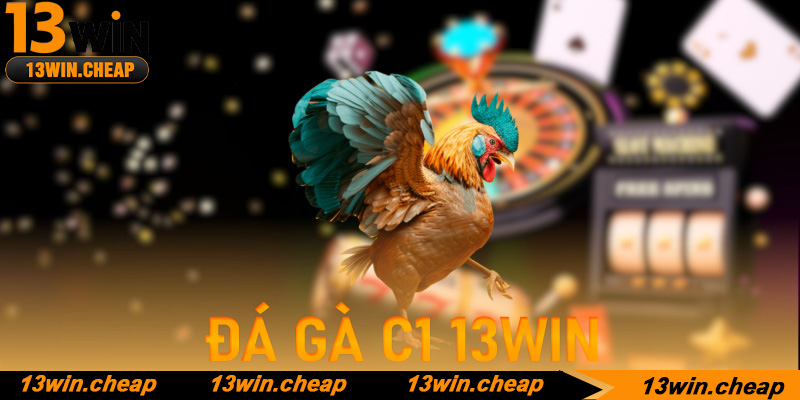 Cẩm nang quản lý vốn cho sư kê khi chơi Đá gà C1 tại 13win