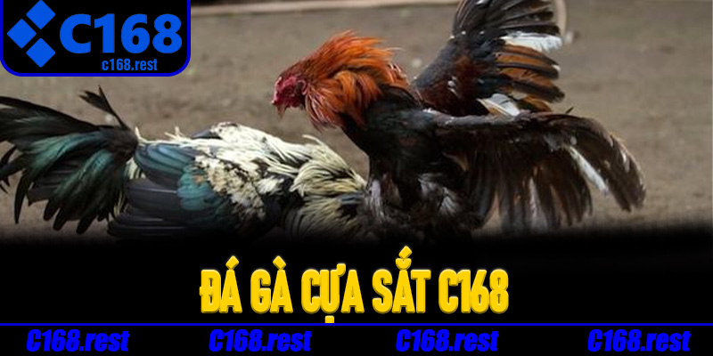 Đá Gà Cựa Sắt C168